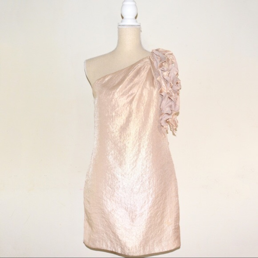 Alexia Admore champagne dress